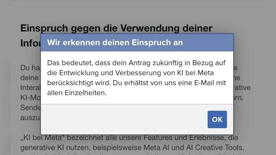 Screenshot der Bestätigung über den erfolgreich eingelegten Einspruch.